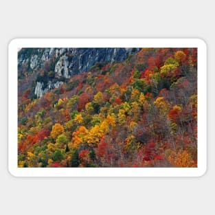 Foliage - Lake Willoughby, Vermont Sticker